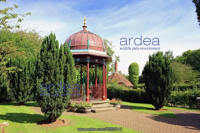 : The Maharajah's Well : The Maharajah's Well