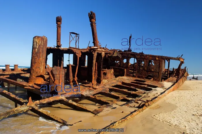 : Maheno ship wreck - wreck of the famous Maheno : Maheno ship wreck - wreck of the famous Maheno