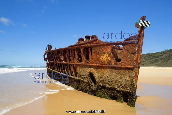 : Maheno ship wreck - wreck of the famous Maheno : Maheno ship wreck - wreck of the famous Maheno