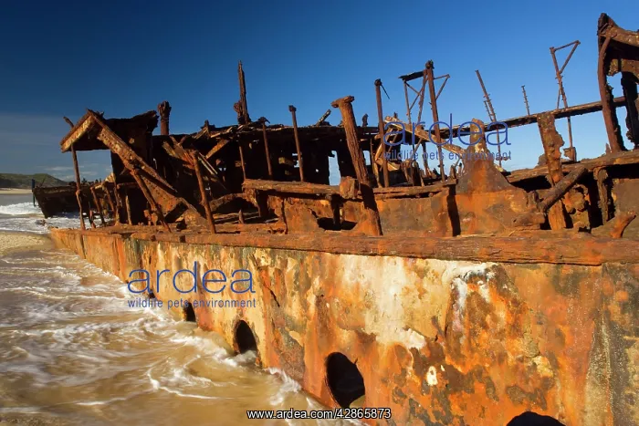  : Maheno ship wreck - wreck of the famous Maheno
