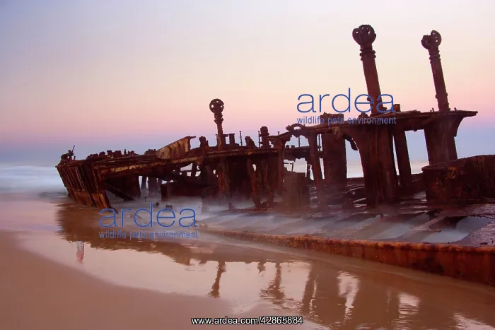 : Maheno ship wreck - wreck of the famous Maheno : Maheno ship wreck - wreck of the famous Maheno