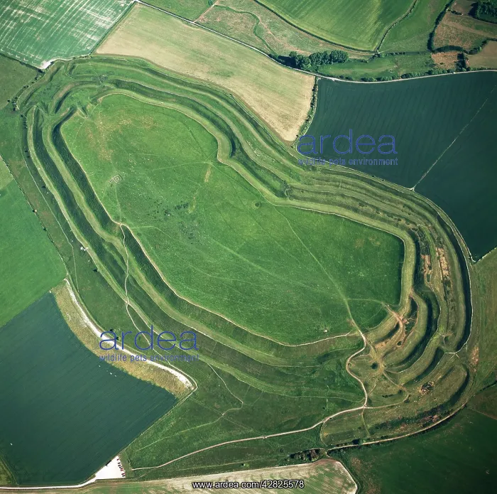 : Maiden Castle, an Iron Age hill fort, Winterborne : Maiden Castle, an Iron Age hill fort, Winterborne