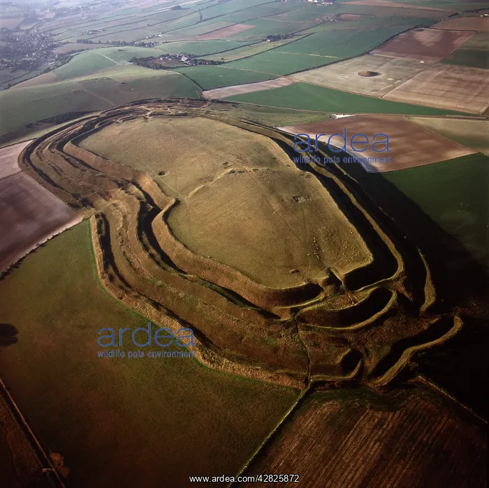 : Maiden Castle, an Iron Age hill fort, Winterborne : Maiden Castle, an Iron Age hill fort, Winterborne