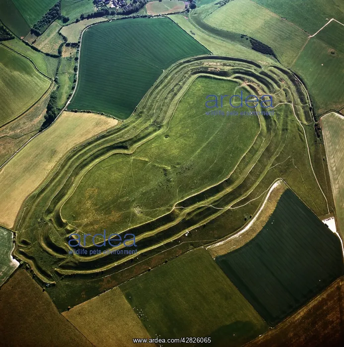  : Maiden Castle, an Iron Age hill fort, Winterborne