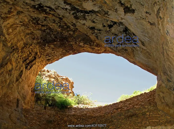 : Main Cave Entrance of Carlsbad Caverns : Main Cave Entrance of Carlsbad Caverns