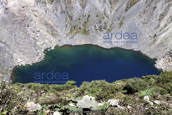 : Main crater Irazu Volcano with blue crater lake : Main crater Irazu Volcano with blue crater lake