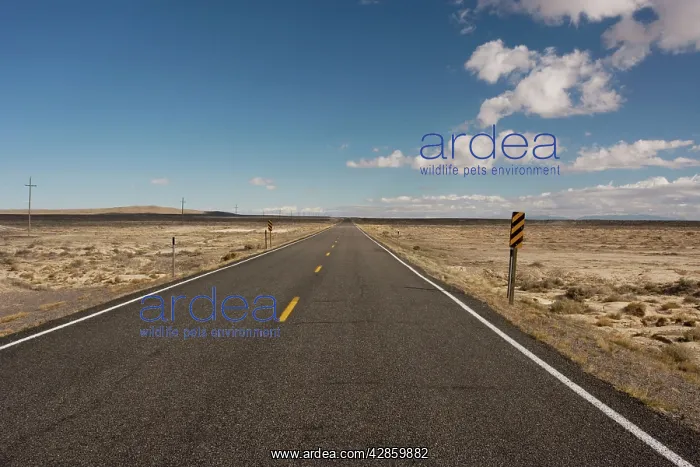 : Main road in west Utah across the desert : Main road in west Utah across the desert