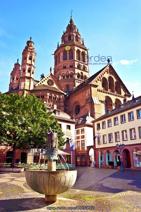 : Mainz, Germany, Saint Martin's Cathedral : Mainz, Germany, Saint Martin's Cathedral