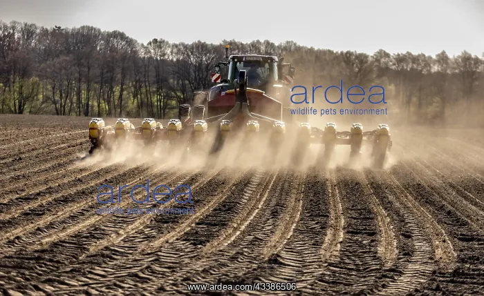 : Maize sowing precision drill Vaederstad Tempo, 12 : Maize sowing precision drill Vaederstad Tempo, 12