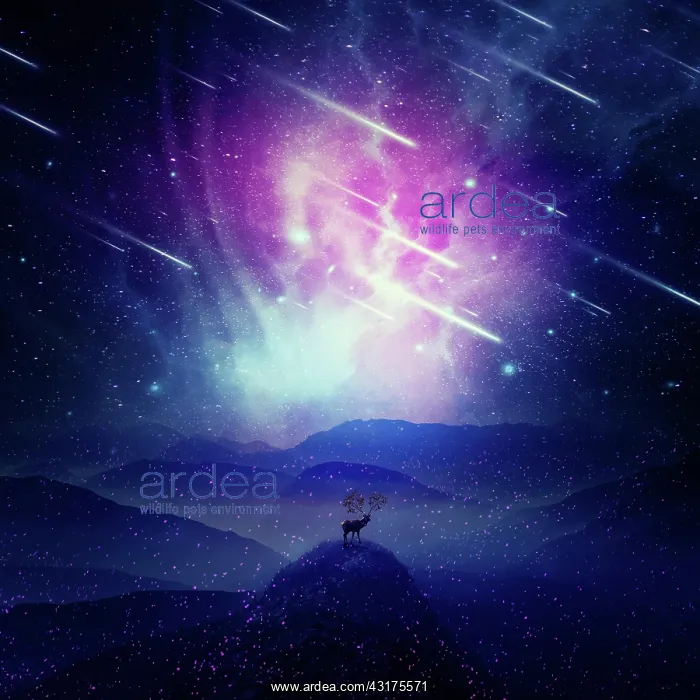 : Majestic deer with long horns as tree branches stand : Majestic deer with long horns as tree branches stand