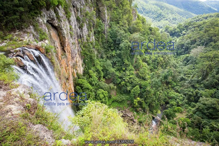  : The majestic and iconic Purling Brook Falls on a w