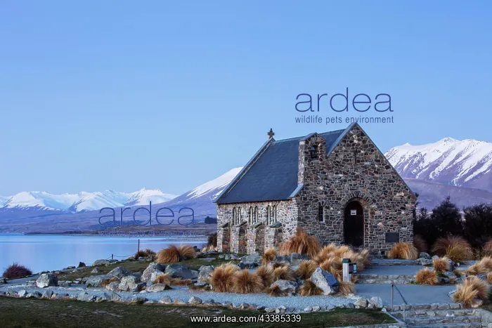 : Majestic Lake Tekapo and the Church of the Good S : Majestic Lake Tekapo and the Church of the Good S