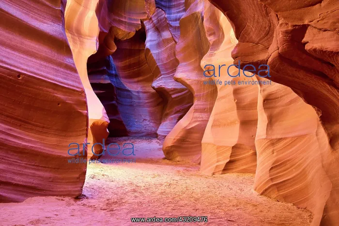 : Majestic natural architecture of the Antelope Slot : Majestic natural architecture of the Antelope Slot