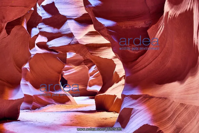 : Majestic natural architecture of the Antelope Slot : Majestic natural architecture of the Antelope Slot