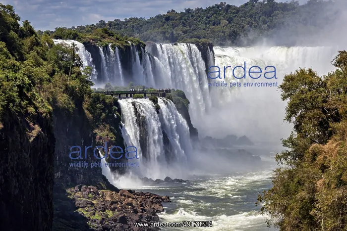 : Majestic waterfalls with observation bridge : Majestic waterfalls with observation bridge