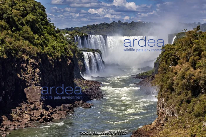 : Majestic waterfalls with strong flow and spray : Majestic waterfalls with strong flow and spray