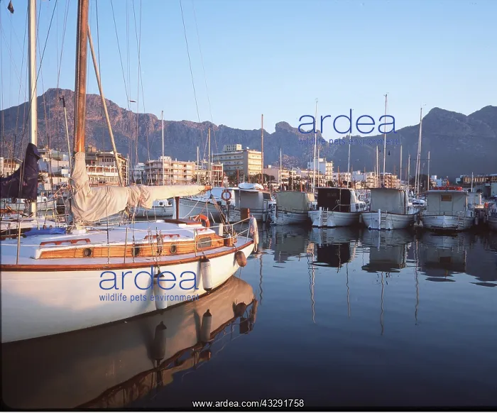 : MAJORCA - Port of Pollensa and busy marina : MAJORCA - Port of Pollensa and busy marina