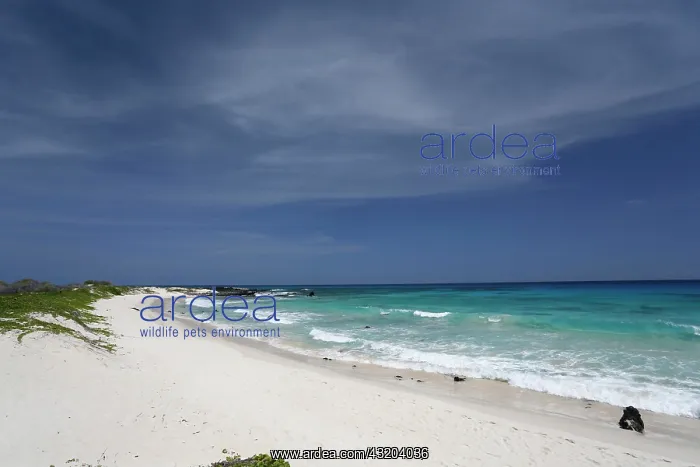 : Makalawena Beach, Kona Coast, Big Island of Hawaii : Makalawena Beach, Kona Coast, Big Island of Hawaii