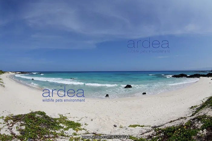 : Makalawena Beach, Kona Coast, Big Island of Hawaii : Makalawena Beach, Kona Coast, Big Island of Hawaii