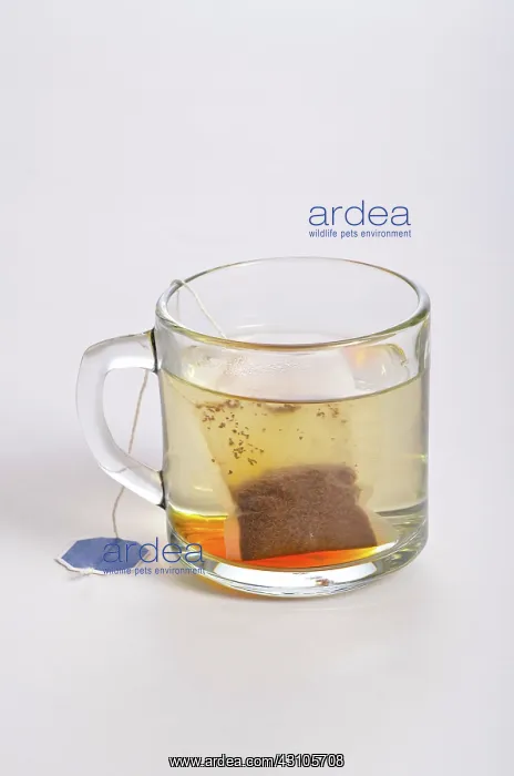 : Making Tea, 2 of 5 : Making Tea, 2 of 5