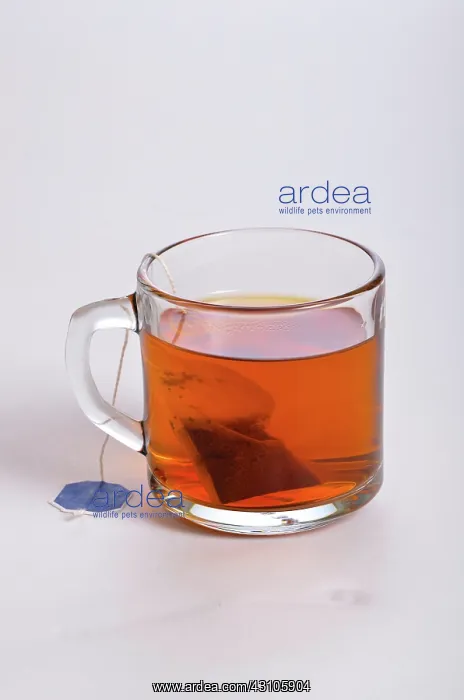  : Making Tea, 4 of 5