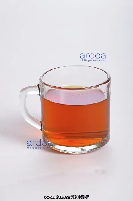 : Making Tea, 5 of 5 : Making Tea, 5 of 5