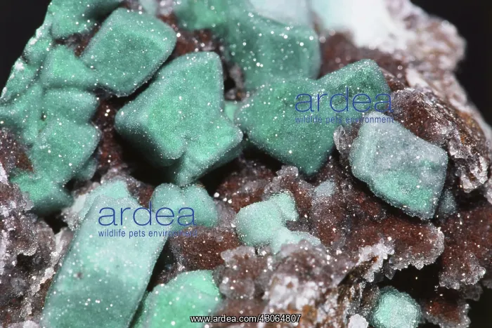 : Malachite from Bloody Basin in Yavapai County, Arizona : Malachite from Bloody Basin in Yavapai County, Arizona