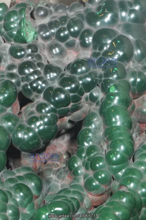 : Malachite, a copper carbonate mineral : Malachite, a copper carbonate mineral
