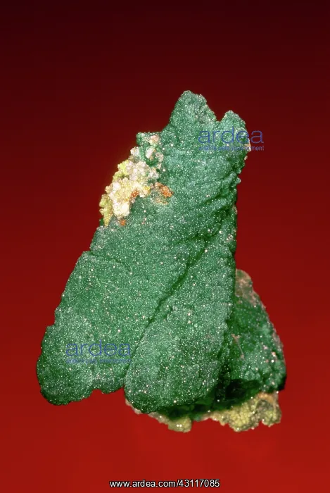 : Malachite with quartz, from the Tsumeb mine, Tsumeb, Namibia : Malachite with quartz, from the Tsumeb mine, Tsumeb, Namibia