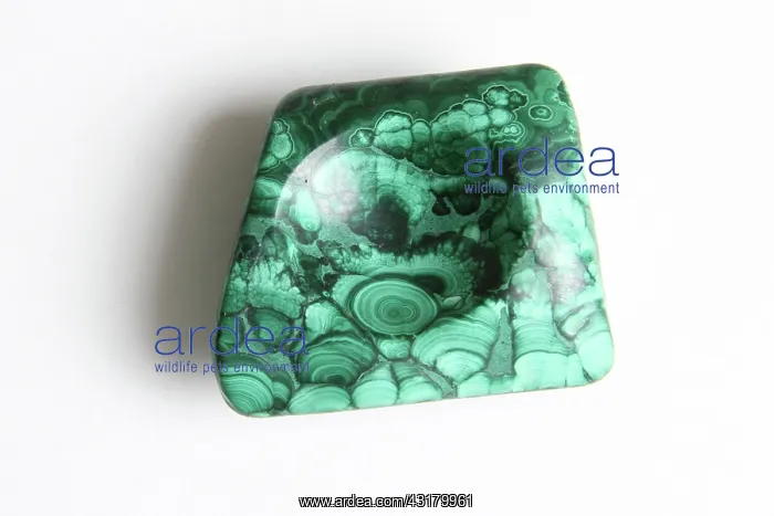 : Malachite, a basic copper carbonate mineral : Malachite, a basic copper carbonate mineral