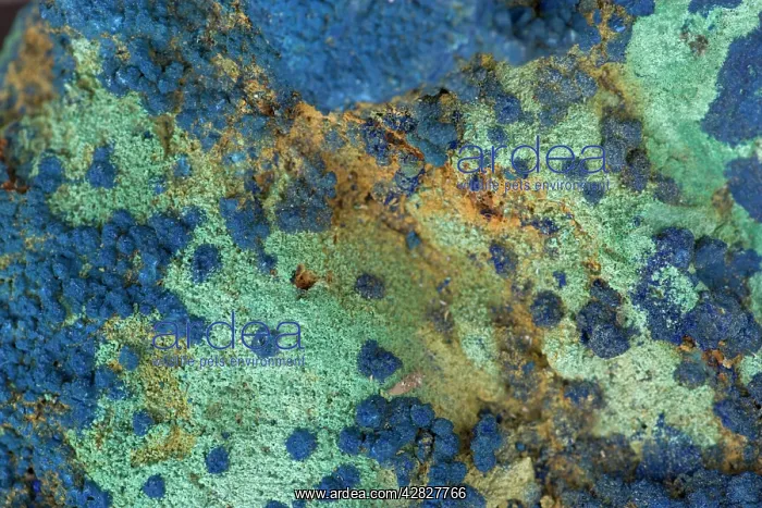 : Malachite and Azurite - Copper minerals from Oujda Morocco : Malachite and Azurite - Copper minerals from Oujda Morocco