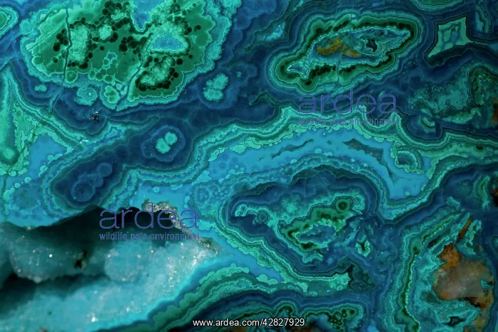 : Malachite and azurite mined from Bagdad Copper Mine : Malachite and azurite mined from Bagdad Copper Mine
