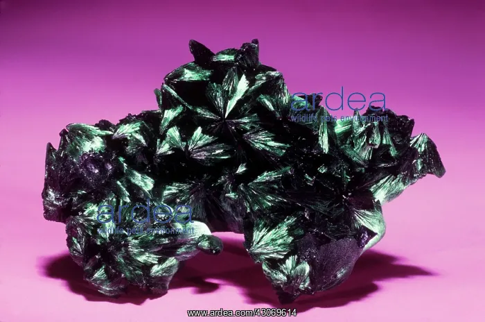 : Malachite from Bisbee, Arizona : Malachite from Bisbee, Arizona
