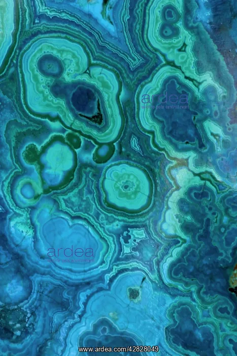 : Malachite and Chrysocolla : Malachite and Chrysocolla