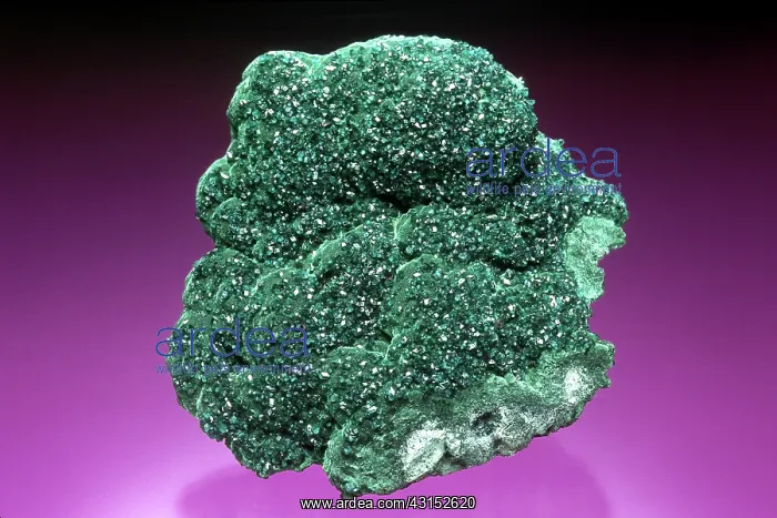 : Malachite and Dioptase : Malachite and Dioptase