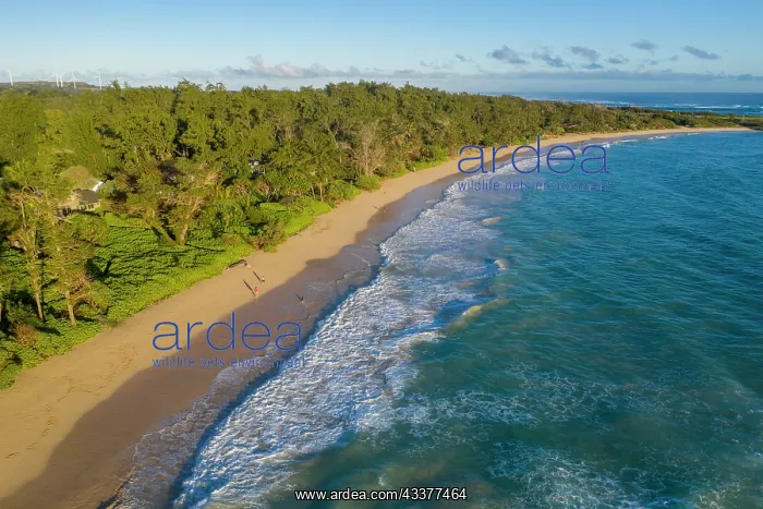 : Malaekahana, Beach Park, Kahuku, Windward, Oahu, Hawaii : Malaekahana, Beach Park, Kahuku, Windward, Oahu, Hawaii