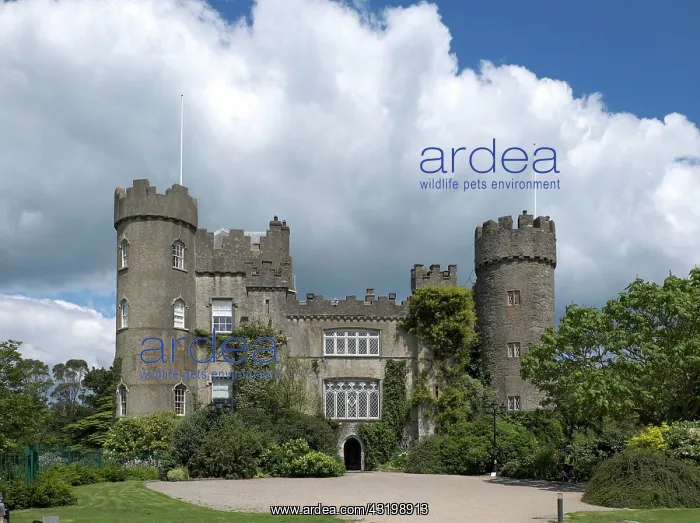 : Malahide Castle, County Fingal, Ireland, Europe : Malahide Castle, County Fingal, Ireland, Europe