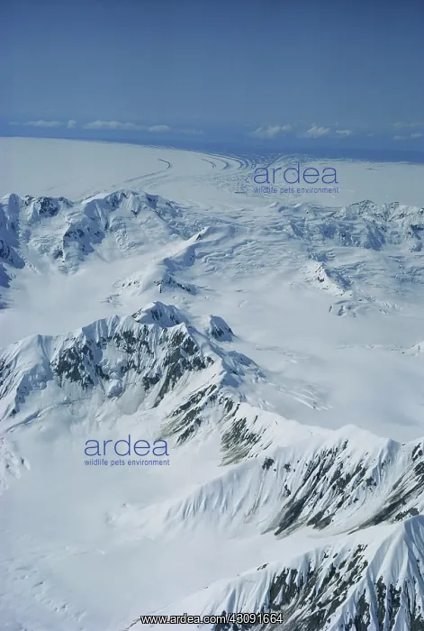 : Malaspina Glacier : Malaspina Glacier