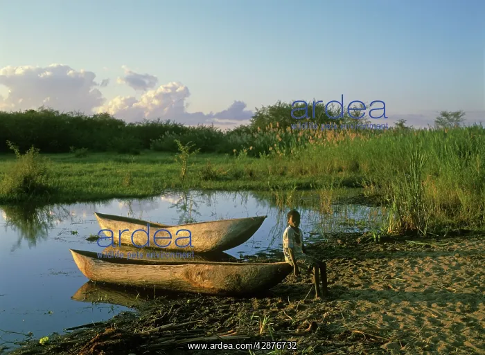 : Malawi - young boy by boat on shore of Lake Malawi : Malawi - young boy by boat on shore of Lake Malawi