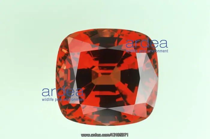  : Malaya Garnet