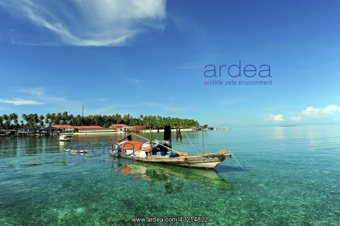  : Malaysia, Borneo, Semporna, Mabul, Dayak