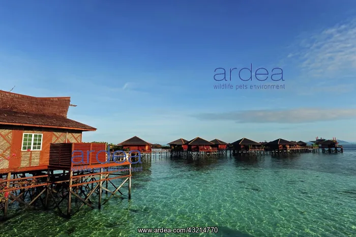 : Malaysia, Borneo, Semporna, Mabul, luxury : Malaysia, Borneo, Semporna, Mabul, luxury