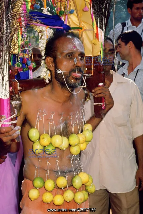  : Malaysia - Thaipusam Hindu Festival