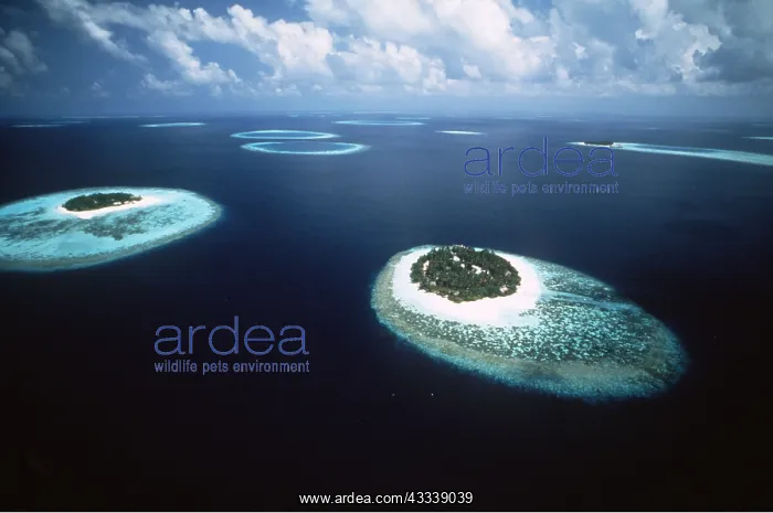 : MALDIVES - aerial of coral reefs and Atolls : MALDIVES - aerial of coral reefs and Atolls