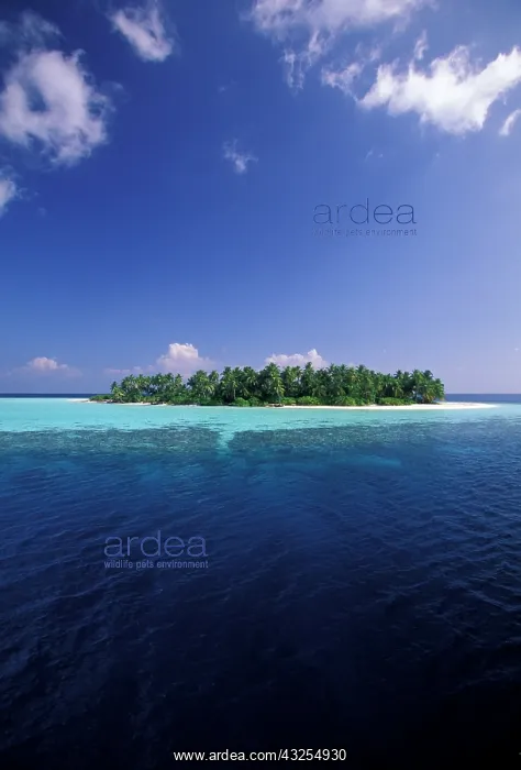 : Maldives, Ari Atoll. Uninhabited, un-named : Maldives, Ari Atoll. Uninhabited, un-named