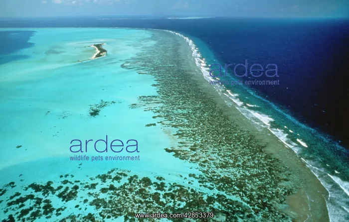 : Maldives - atolls & coral platform reefs : Maldives - atolls & coral platform reefs