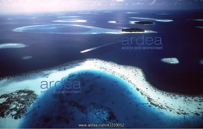 : MALDIVES - coral reefs and atolls, aerial : MALDIVES - coral reefs and atolls, aerial