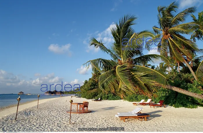 : Maledivischer Strand, Malediven, Indischer Ozean : Maledivischer Strand, Malediven, Indischer Ozean
