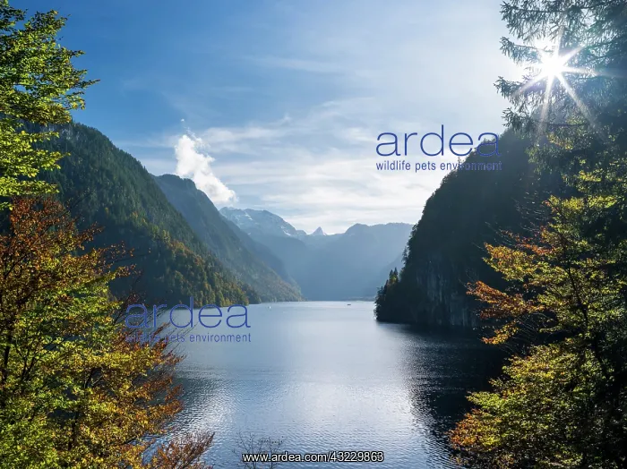 : Malerwinkel (Painters Corner) at lake Koenigssee : Malerwinkel (Painters Corner) at lake Koenigssee