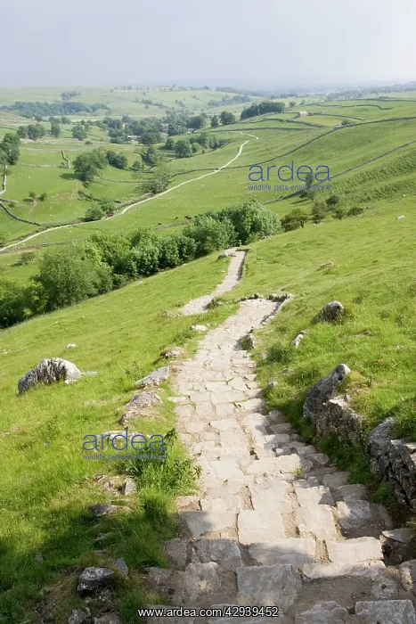  : Malham Cove
